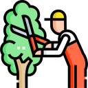 001-trimming