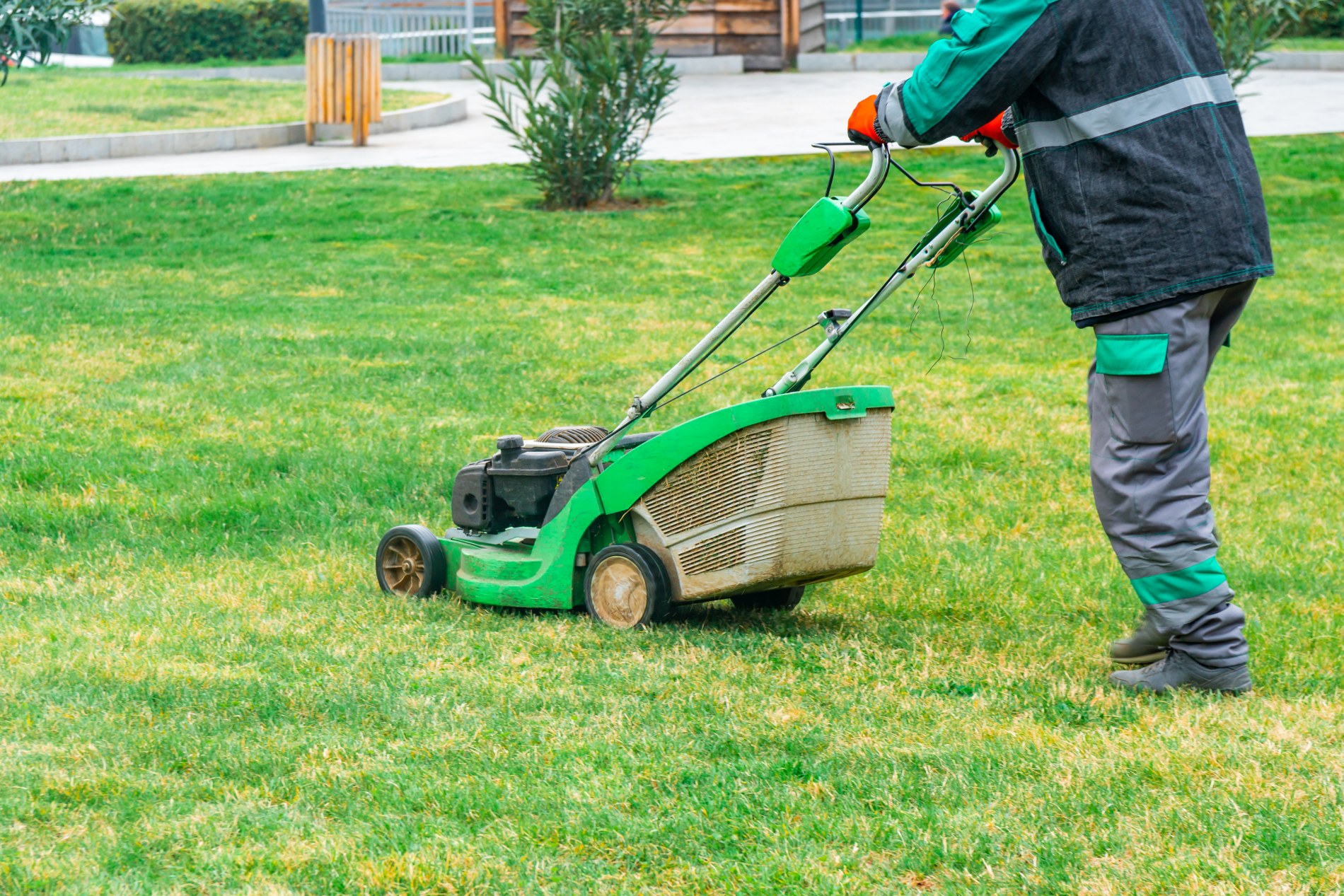 Entretien de jardin Entretien de jardin