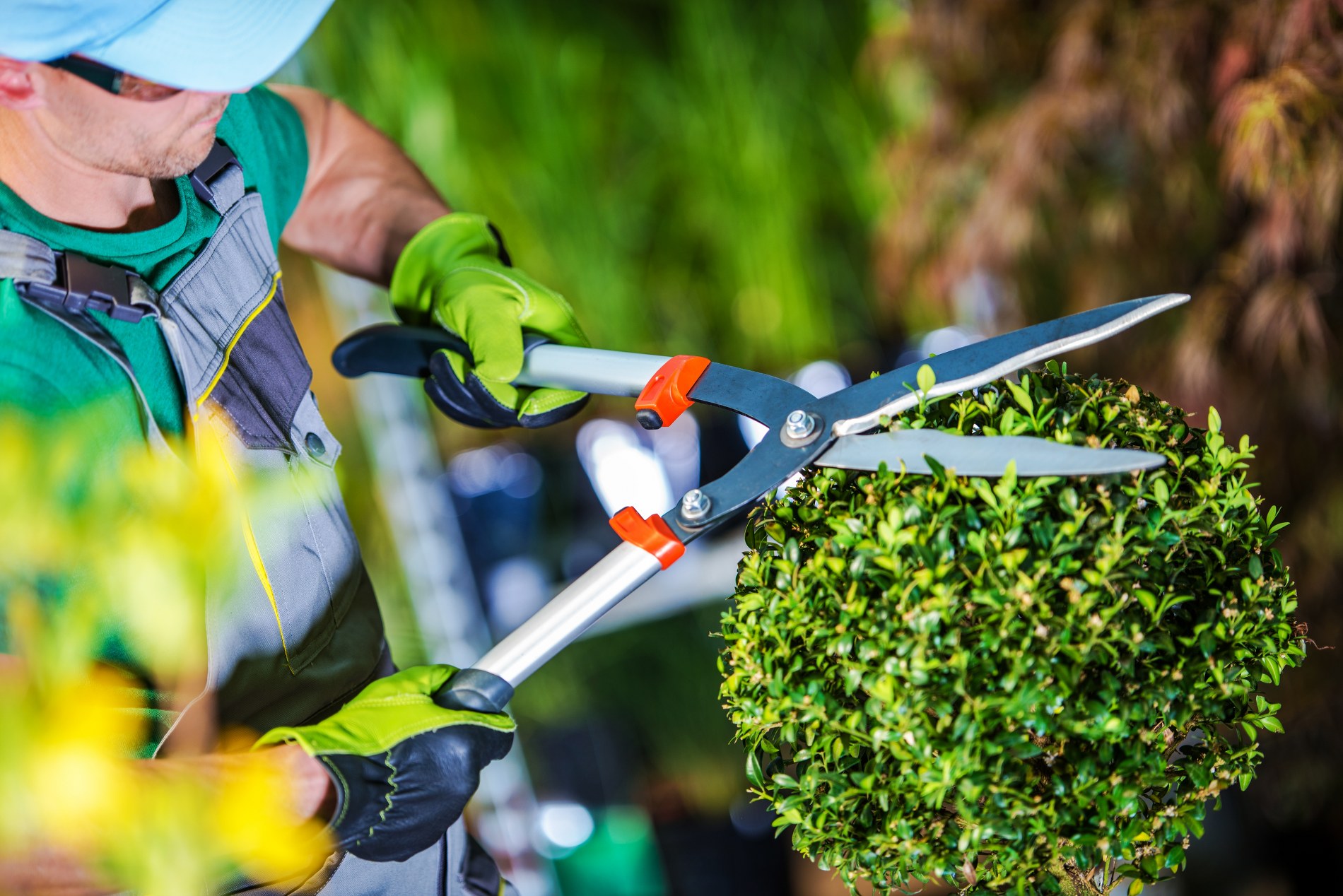Entretien de jardin Entretien de jardin