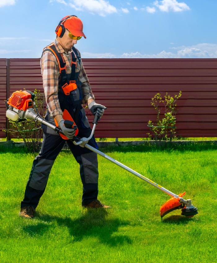 Tonte et débroussaillage de jardin Entretien de pelouse et débroussaillage